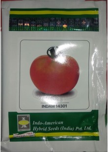 INDAM 14301